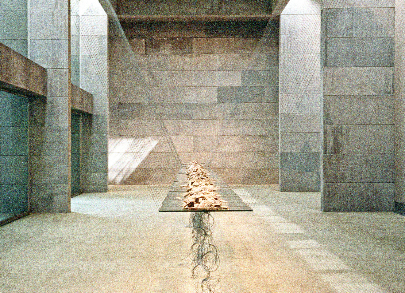 Eve Laramée installation